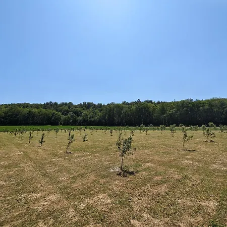 Country house Renove Et Moderne Avec Wi-fi, Calme Et Confort Pres De Ligny-en-barrois Longeaux
