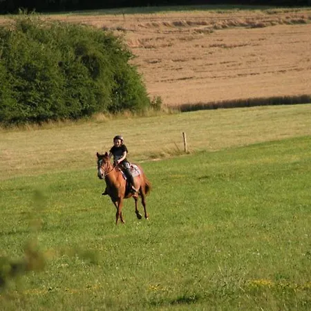 Feriehus Renove Et Moderne Avec Wi-fi, Calme Et Confort Pres De Ligny-en-barrois - Fr-1-585-160