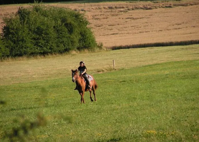 펜션 Renove Et Moderne Avec Wi-fi, Calme Et Confort Pres De Ligny-en-barrois - Fr-1-585-160